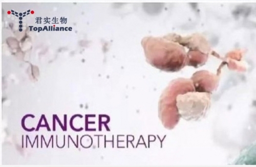 热烈祝贺胜道资本投资企业君实生物科创板成功上市