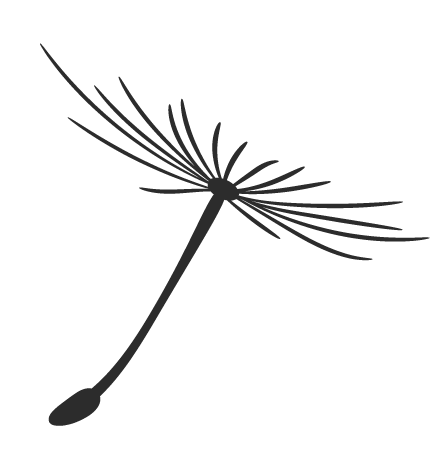 1666858368549928.gif 640.gif